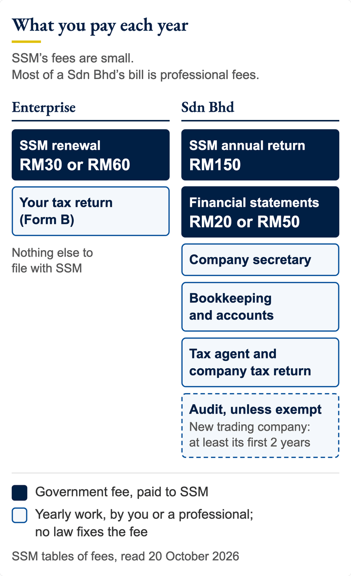Two stacks compare the yearly bill. Enterprise: SSM renewal RM30 or RM60 and a personal tax return. Sdn Bhd: SSM annual return RM150 and financial statements RM20 or RM50, then company secretary, bookkeeping, tax agent and an audit unless exempt; most of the bill is professional fees.